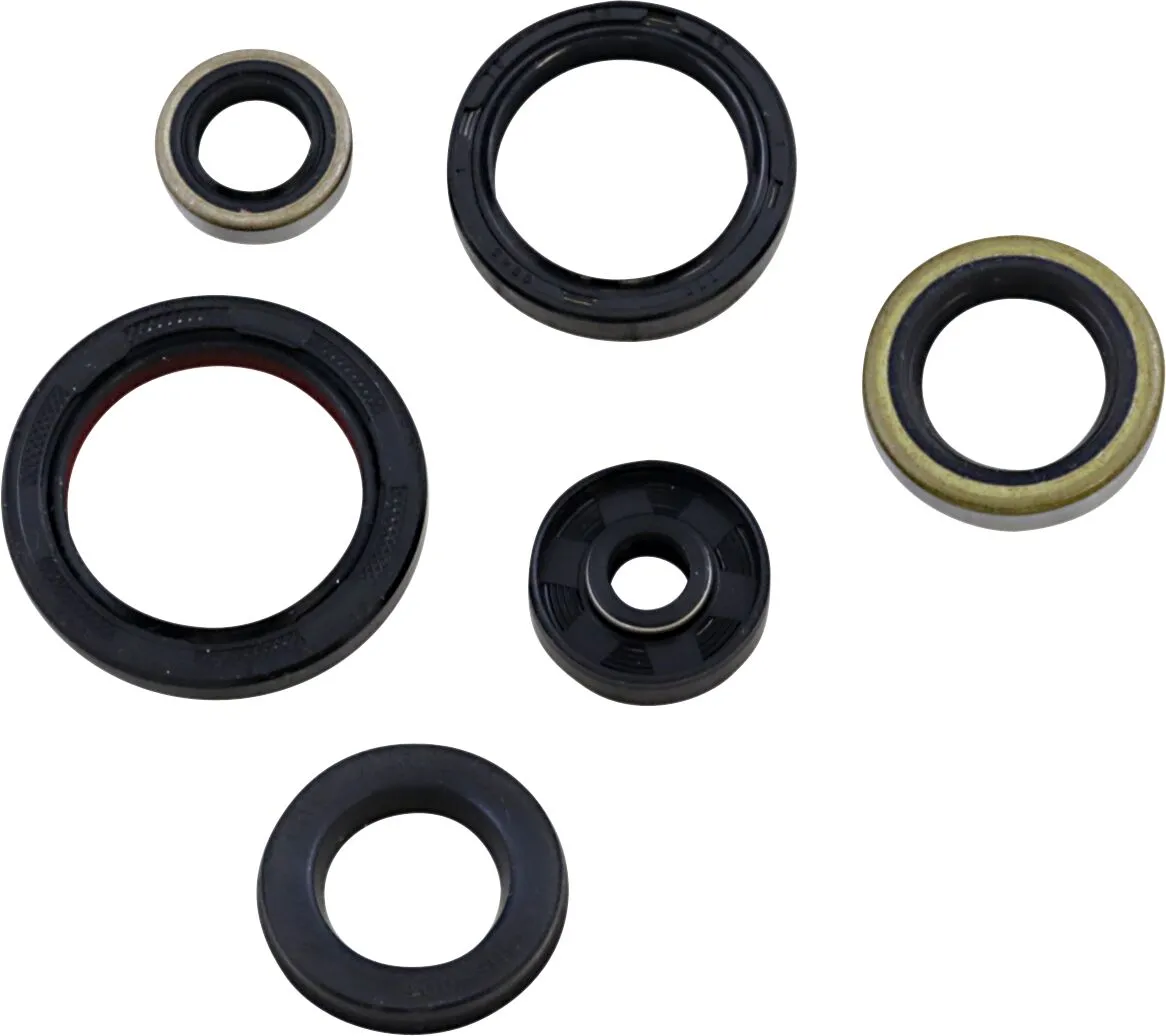 Oil Seal Kit