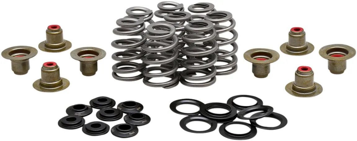 Beehive Valve™ Spring Kit