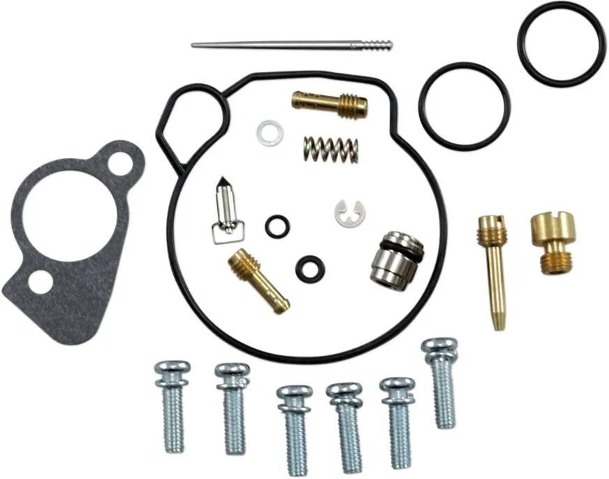 Carburetor Repair Kit