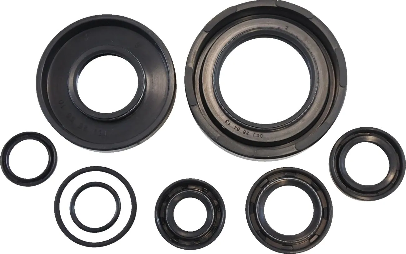 Oil Seal Kit