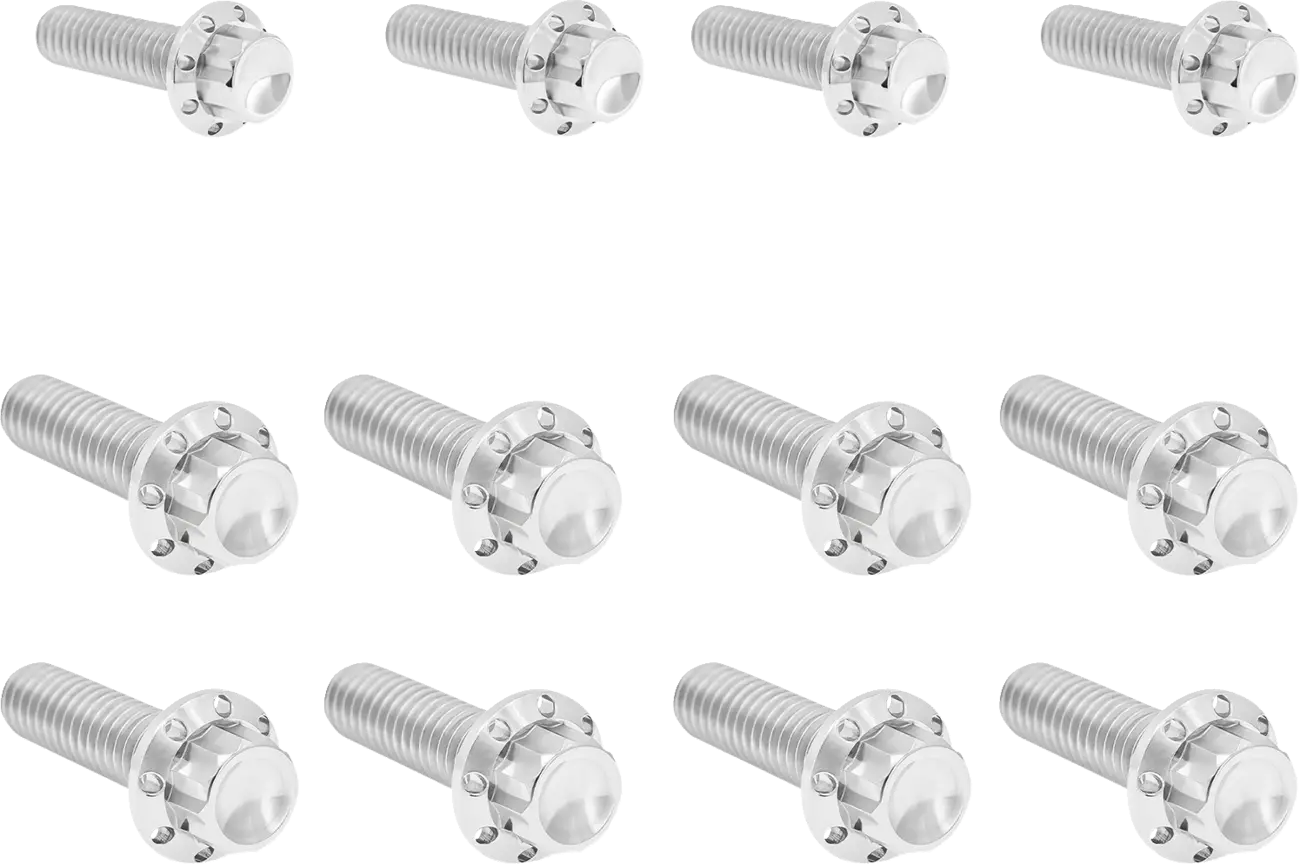 Transmission Side Cover & Trap Door Titanium 12-Point Bolt Kit