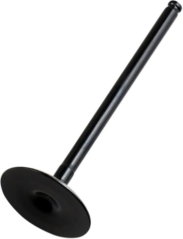 Replacement Valve