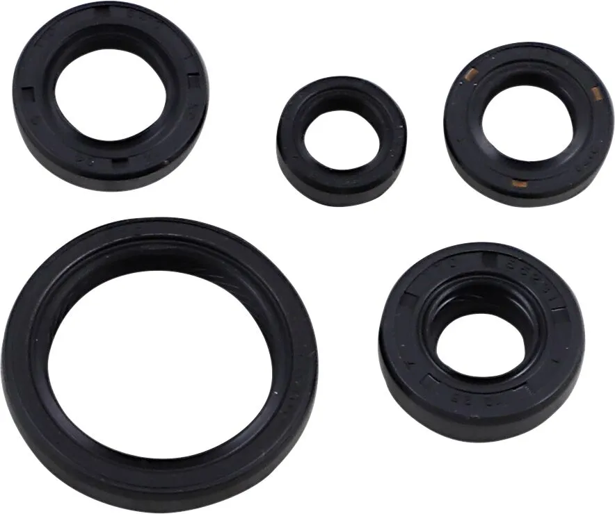 Oil Seal Kit