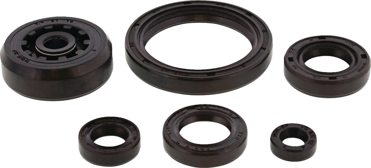 Oil Seal Kit