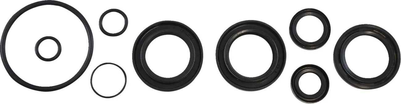 Oil Seal Kit