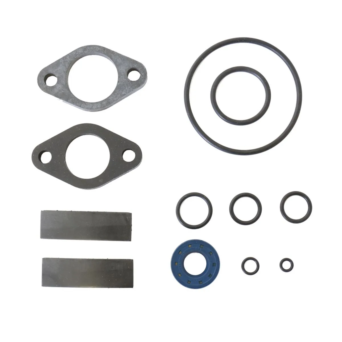 Engine Oil Seal