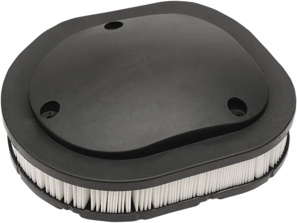 OEM Replacement Air Filter for Indian
