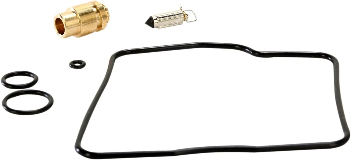 Carburetor Repair Kit