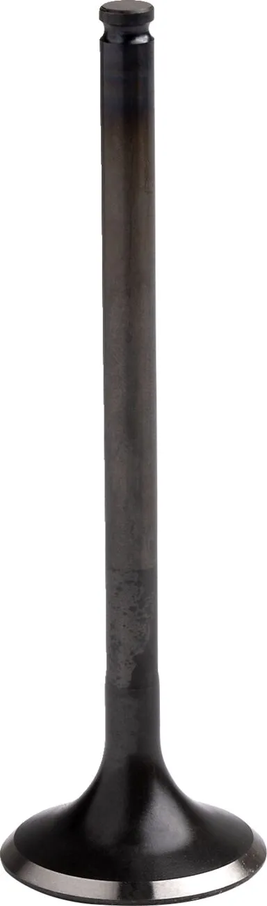 Engine Valve
