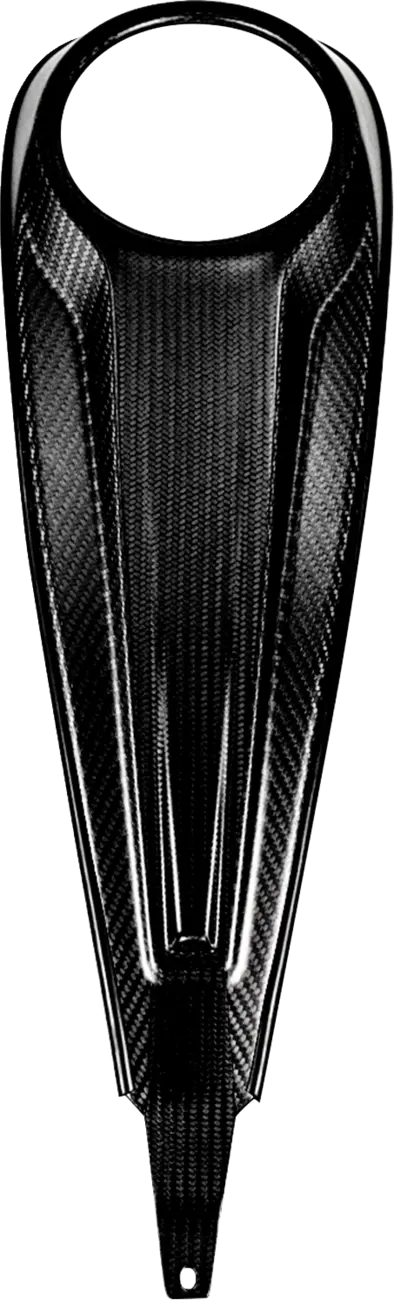 Carbon Fiber Dash Panel For Touring Models