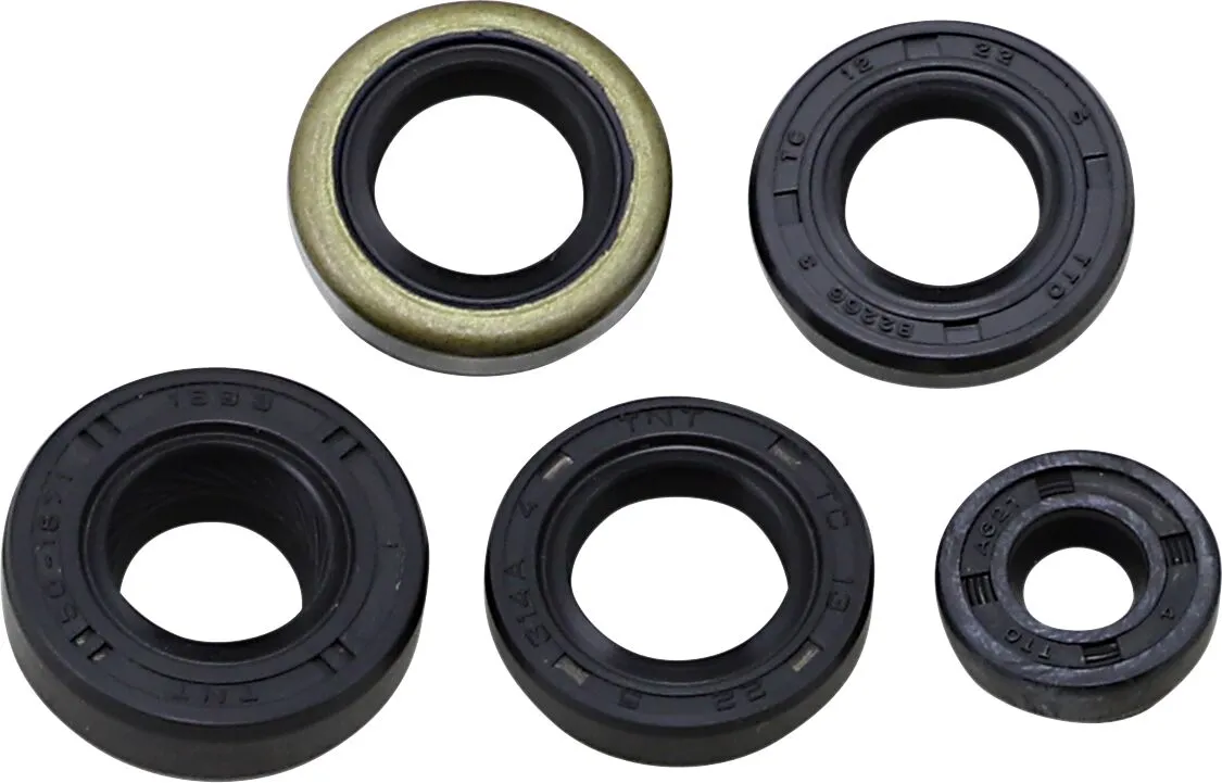 Oil Seal Kit