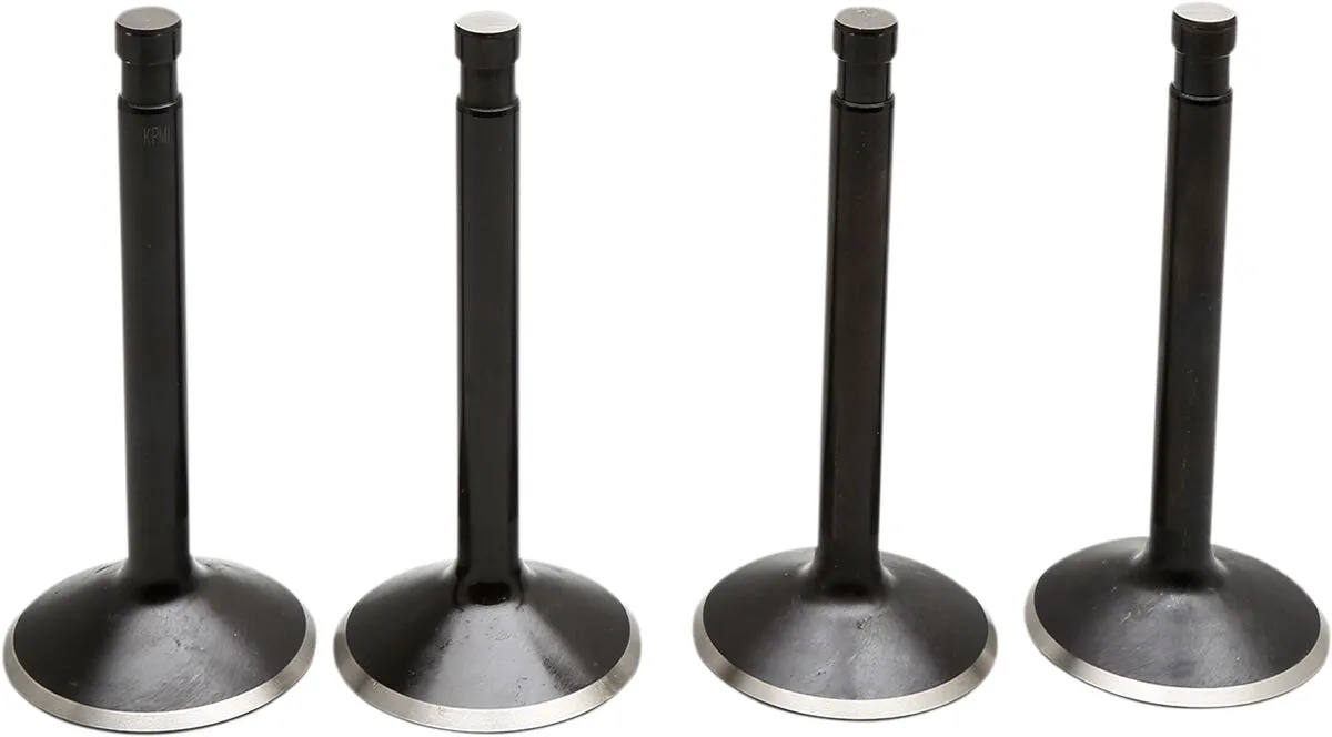 Black Diamond™ Engine Valve Kit