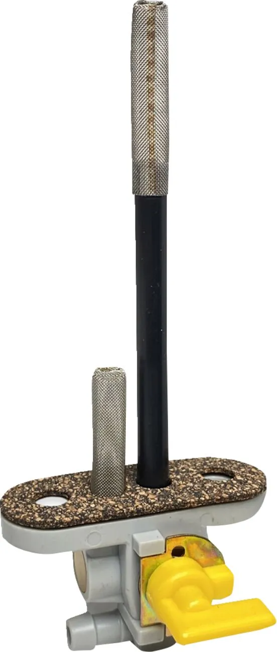 Fuel Valve