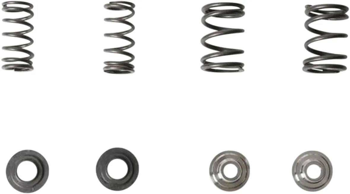 Lightweight Racing Valve Spring Kit
