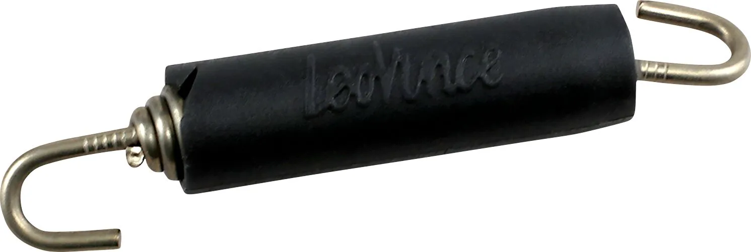 Exhaust Spring
