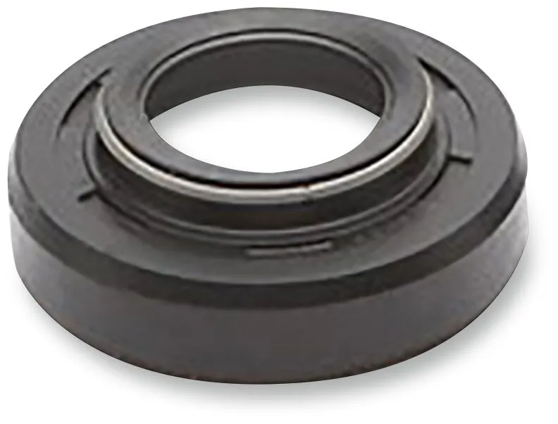 Dust Seal