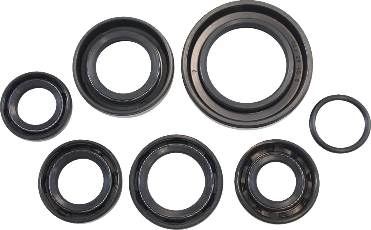 Oil Seal Kit