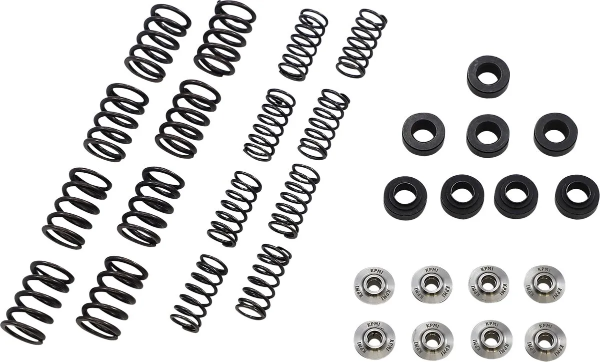 Lightweight Racing Valve Spring Kit