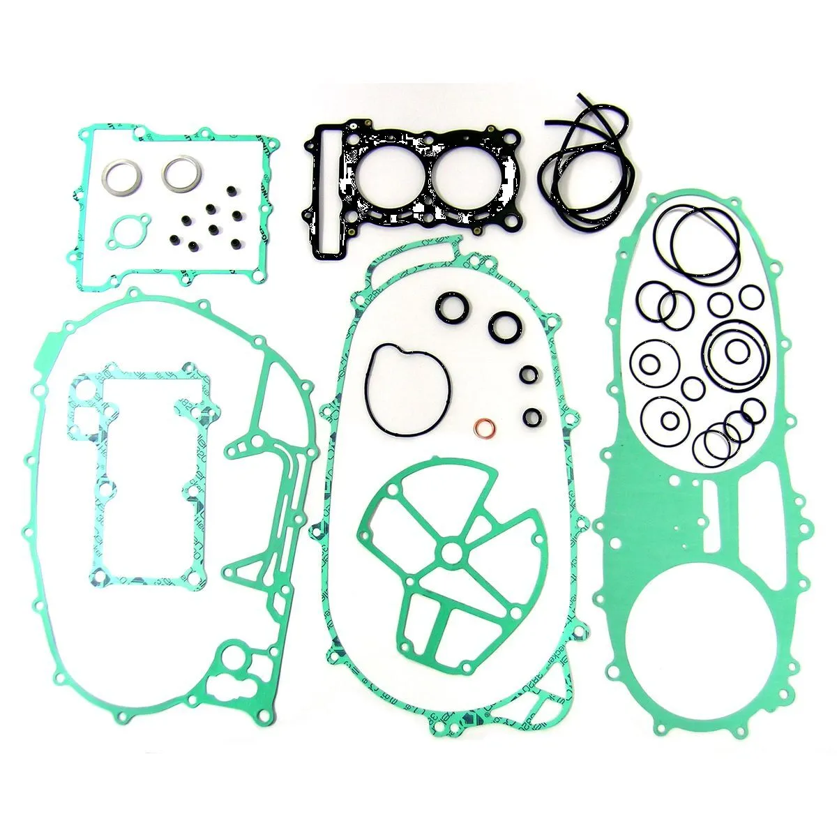 Engine Oil Seal