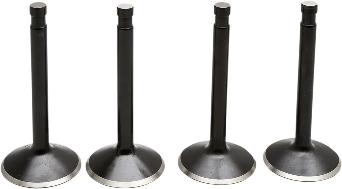 Black Diamond™ Engine Valve Kit