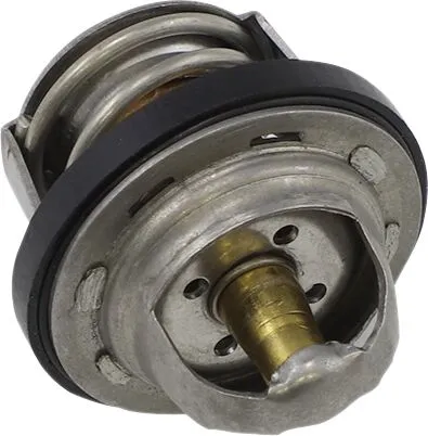 Replacement Thermostat - Polaris