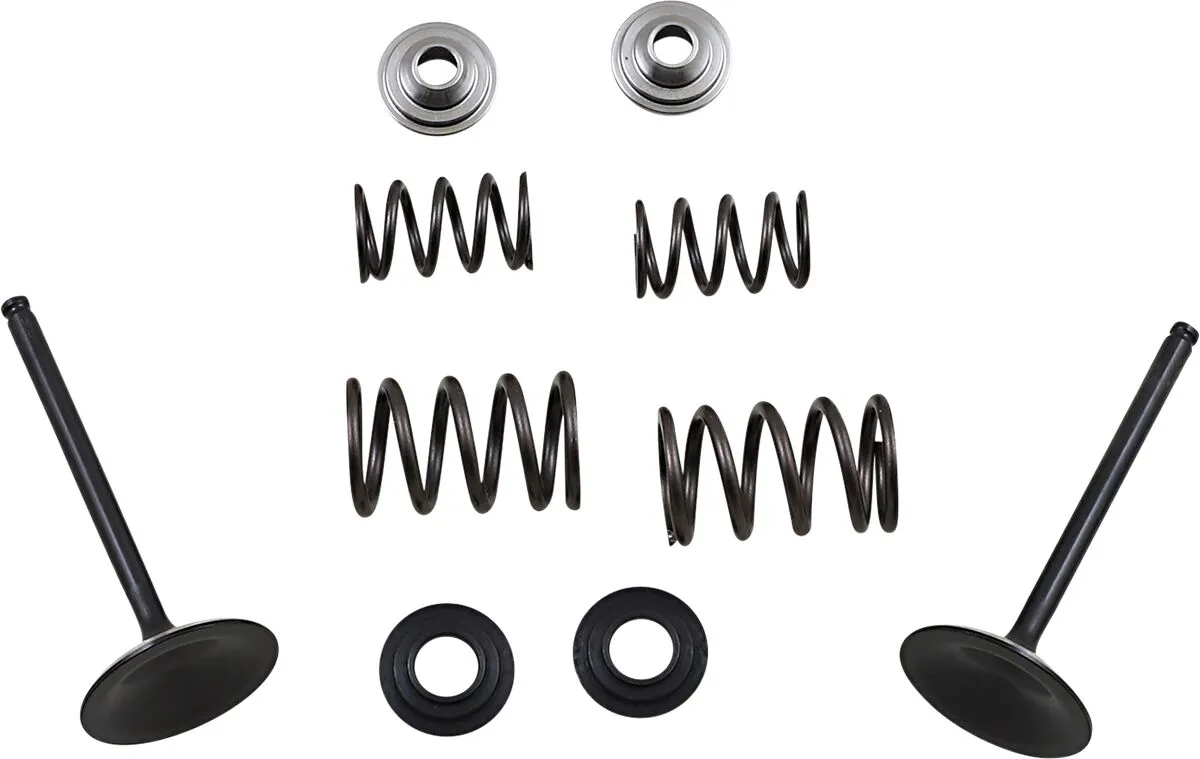Intake Valve and Spring Kit