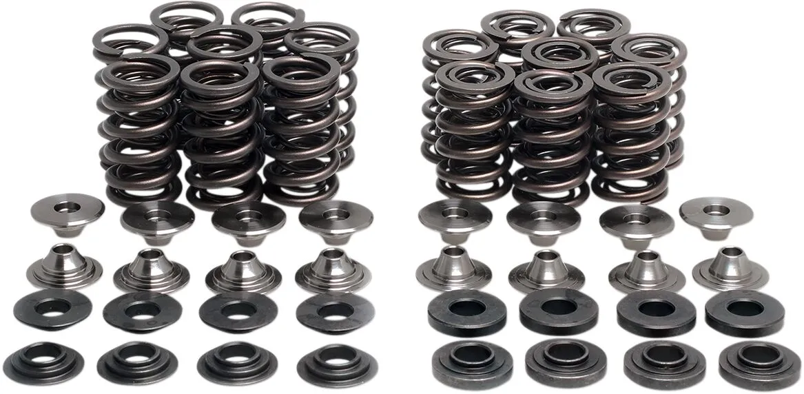 Valve Spring Kit