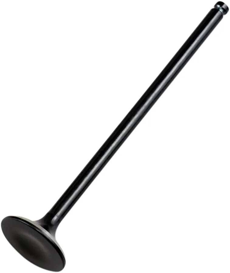 Replacement Valve