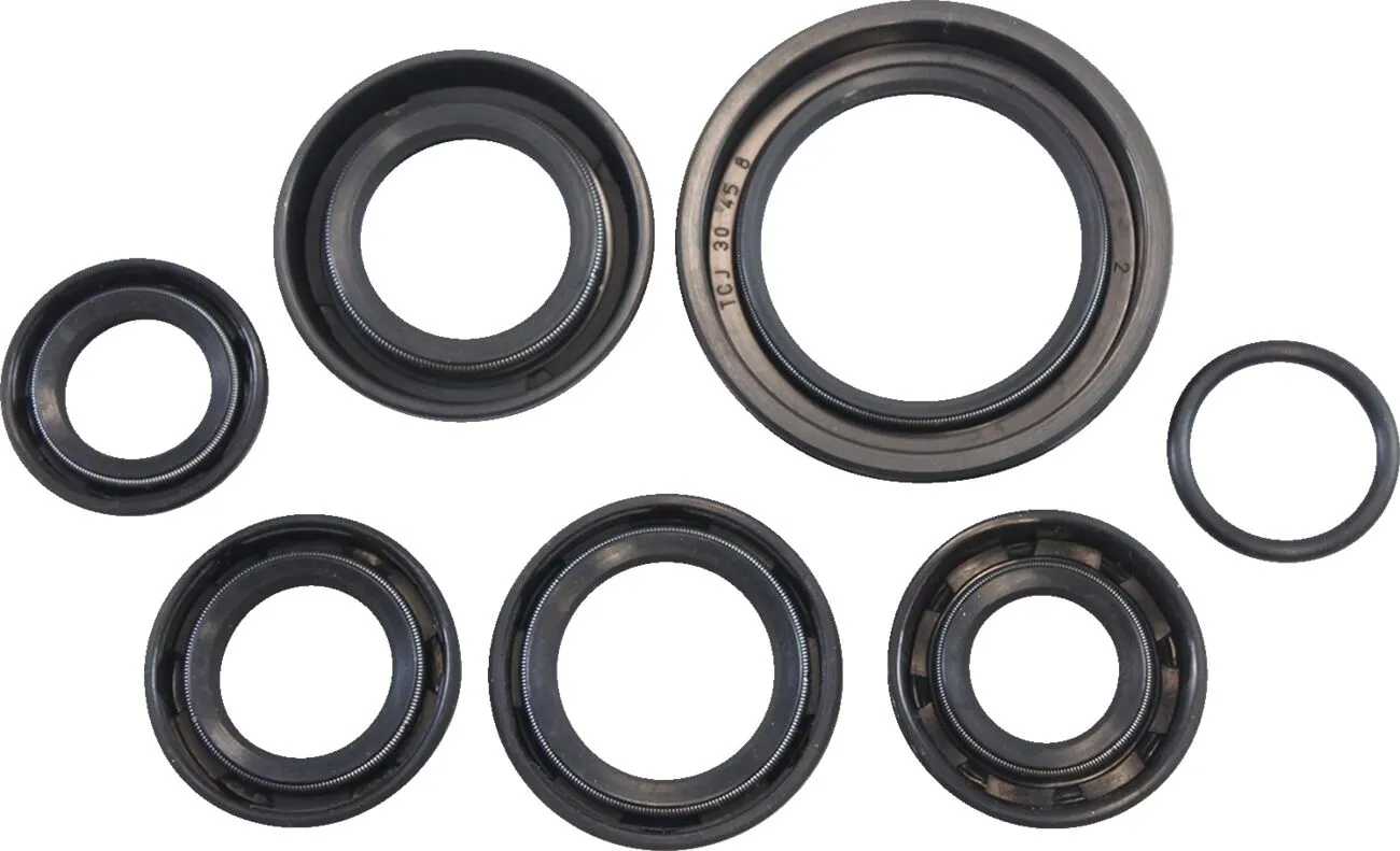Oil Seal Kit