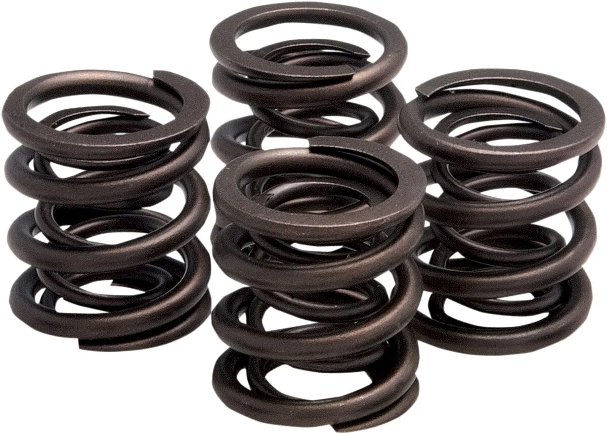 Valve Spring Kit