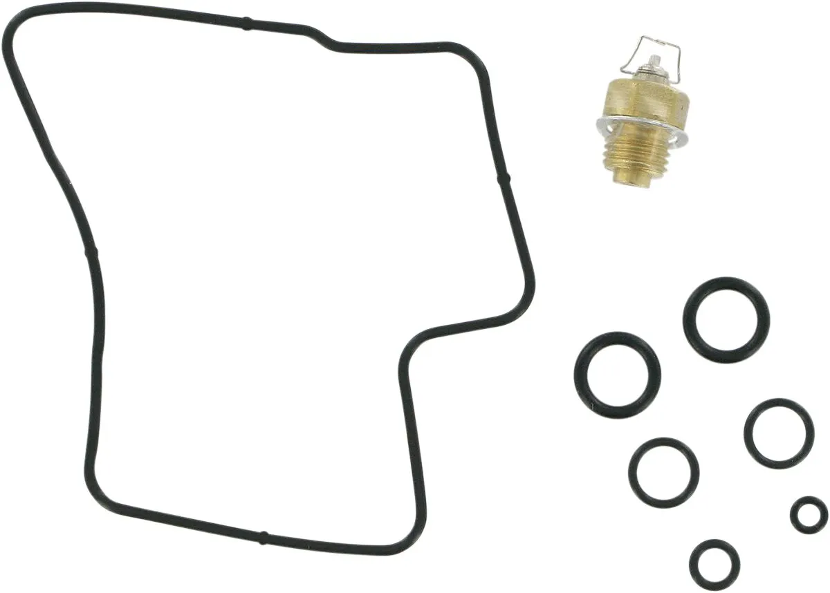 Carburetor Repair Kit