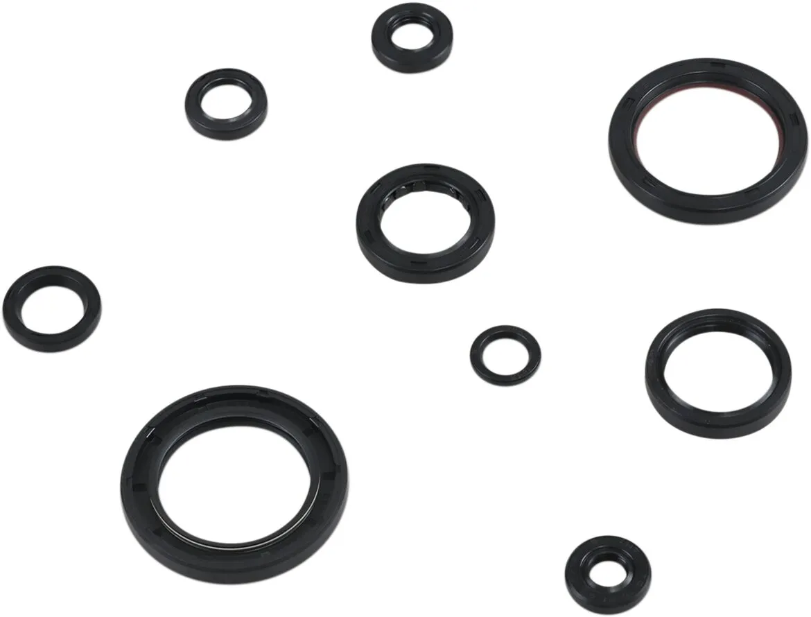 Oil Seal Kit