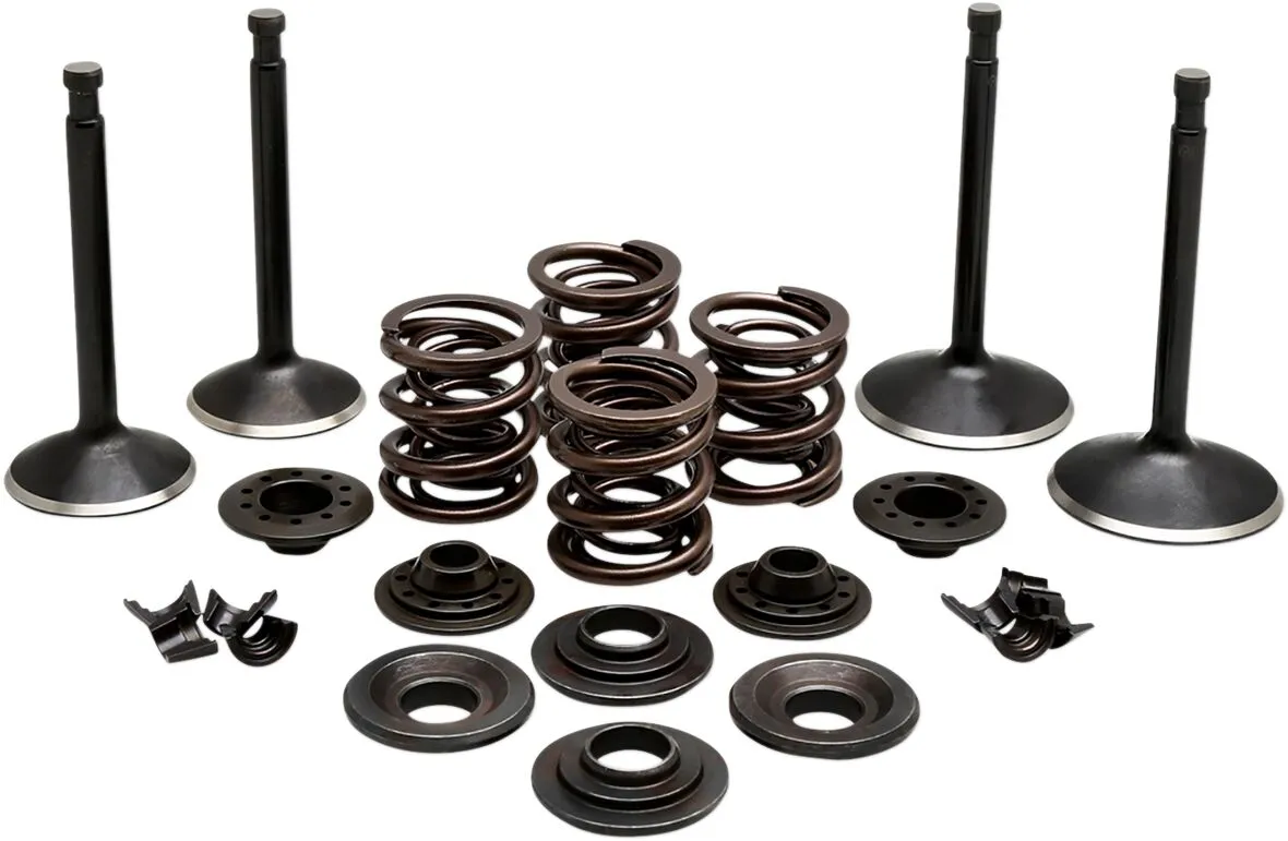 Engine Valve Kit