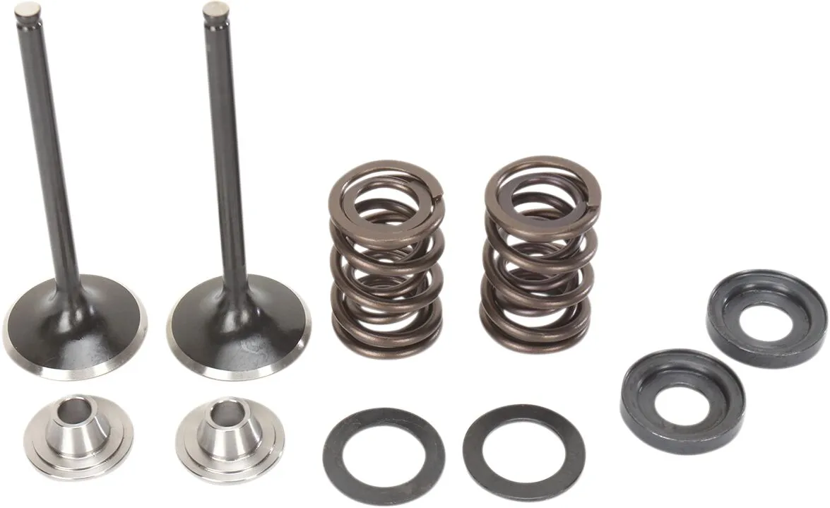 Exhaust Valve and Spring Kit
