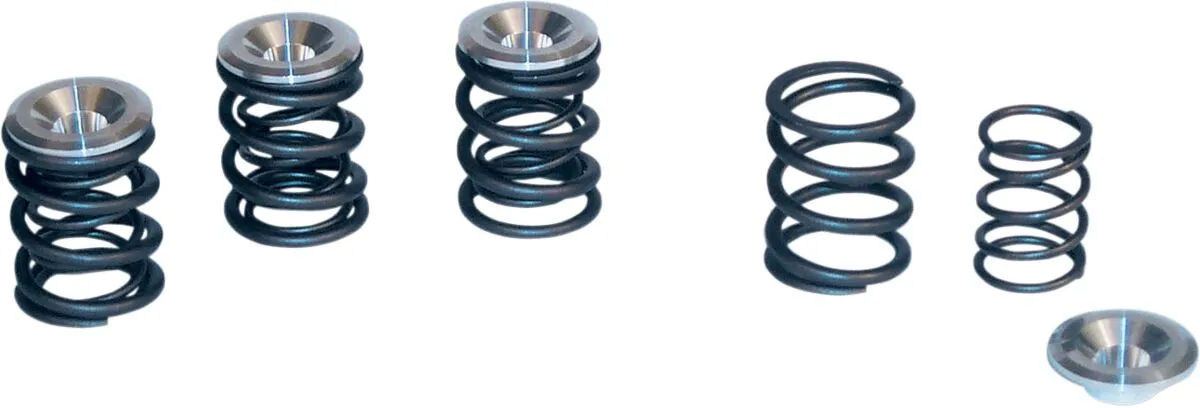 Valve Spring Kit