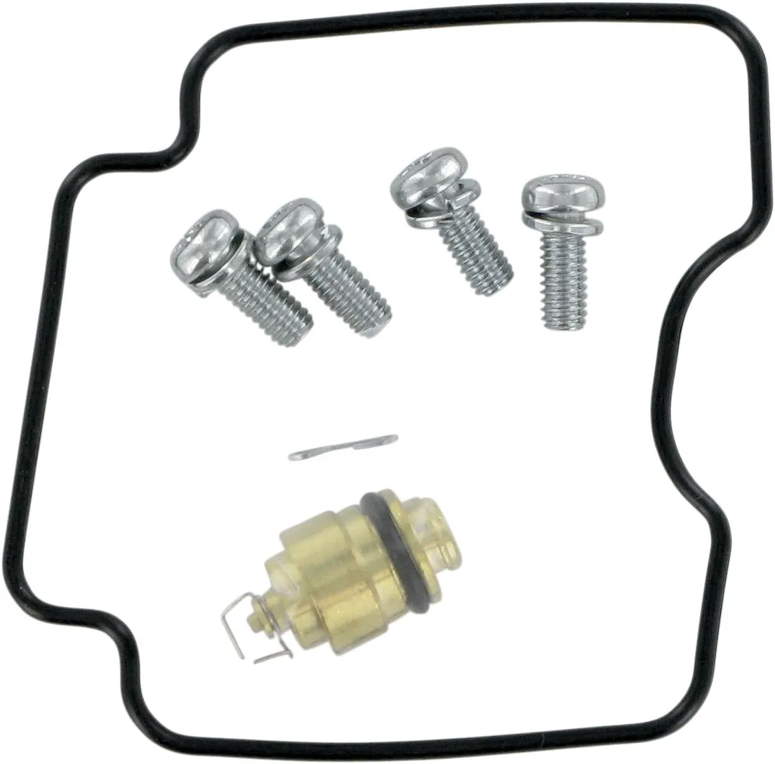 Carburetor Repair Kit