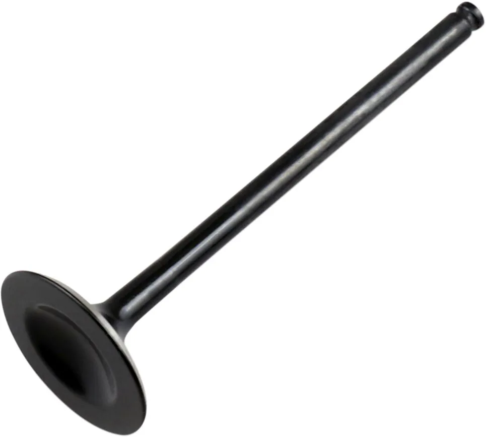 Replacement Valve