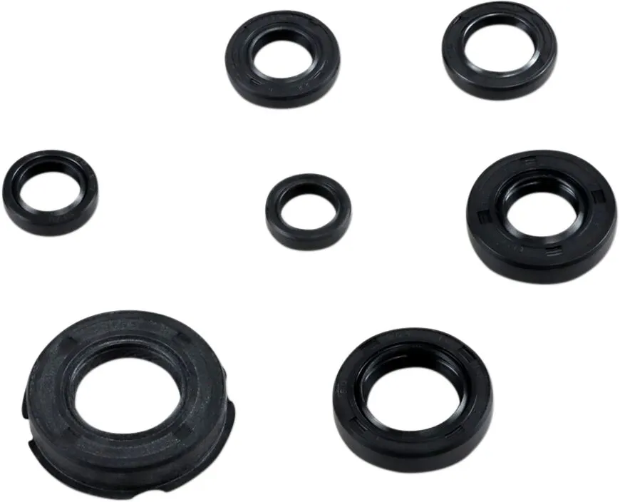 Oil Seal Kit