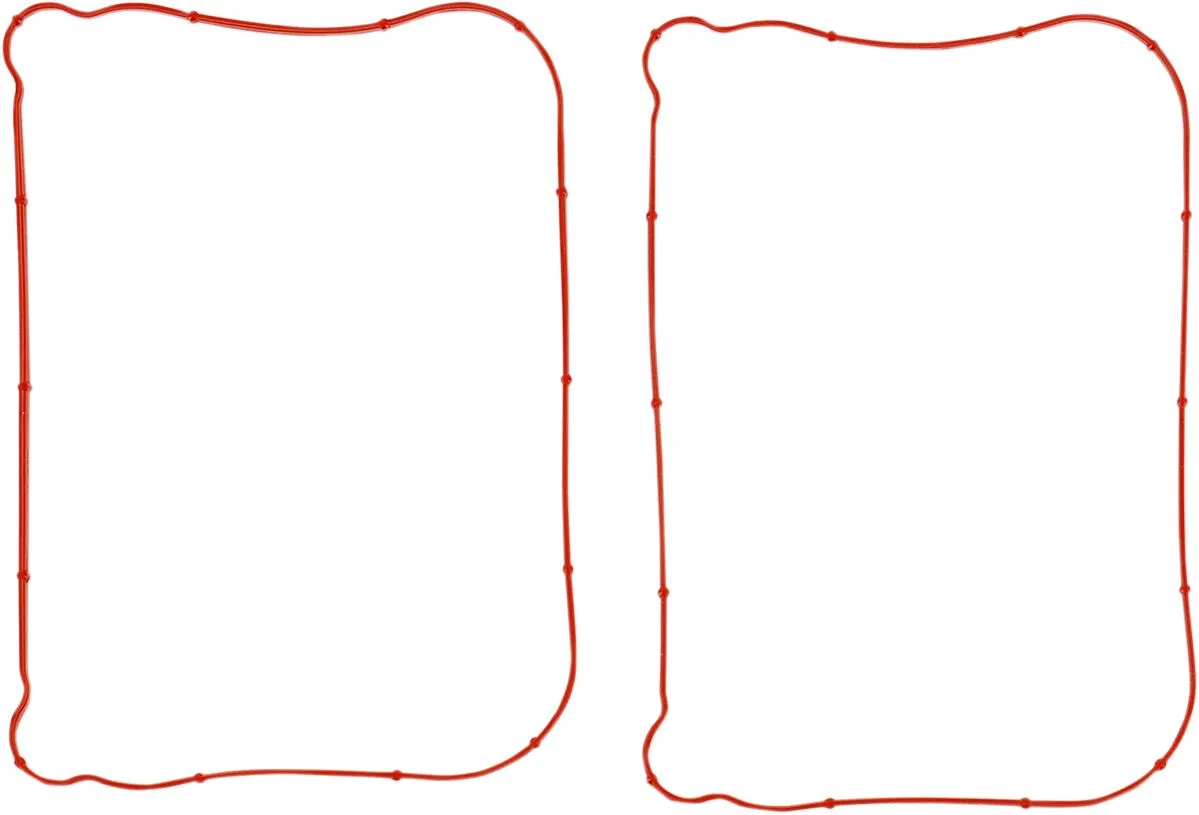 Rocker Gasket