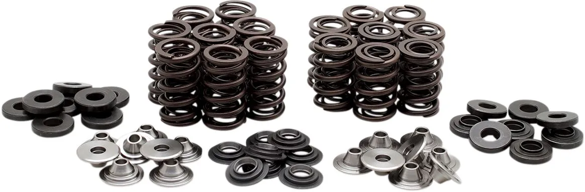 Valve Spring Kit
