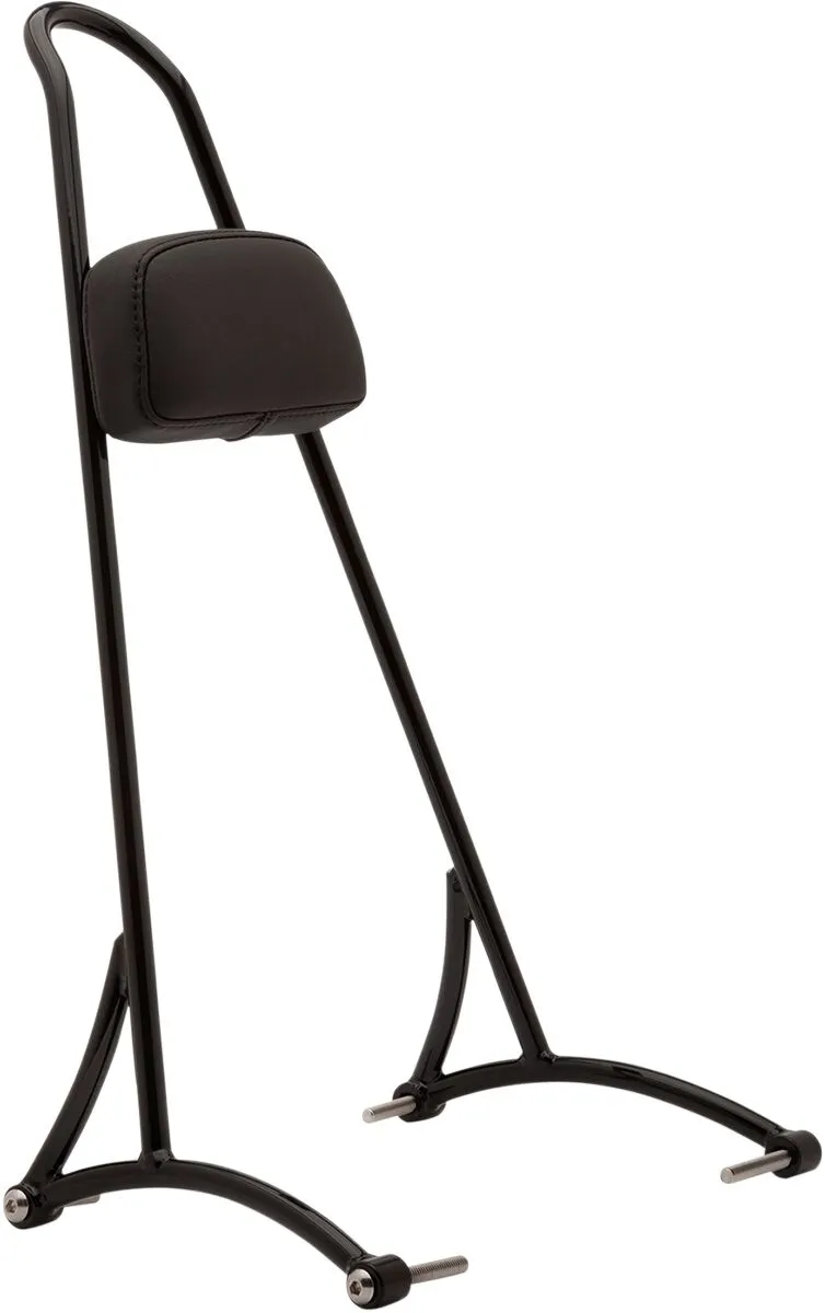 20" Tall Sissy Bar