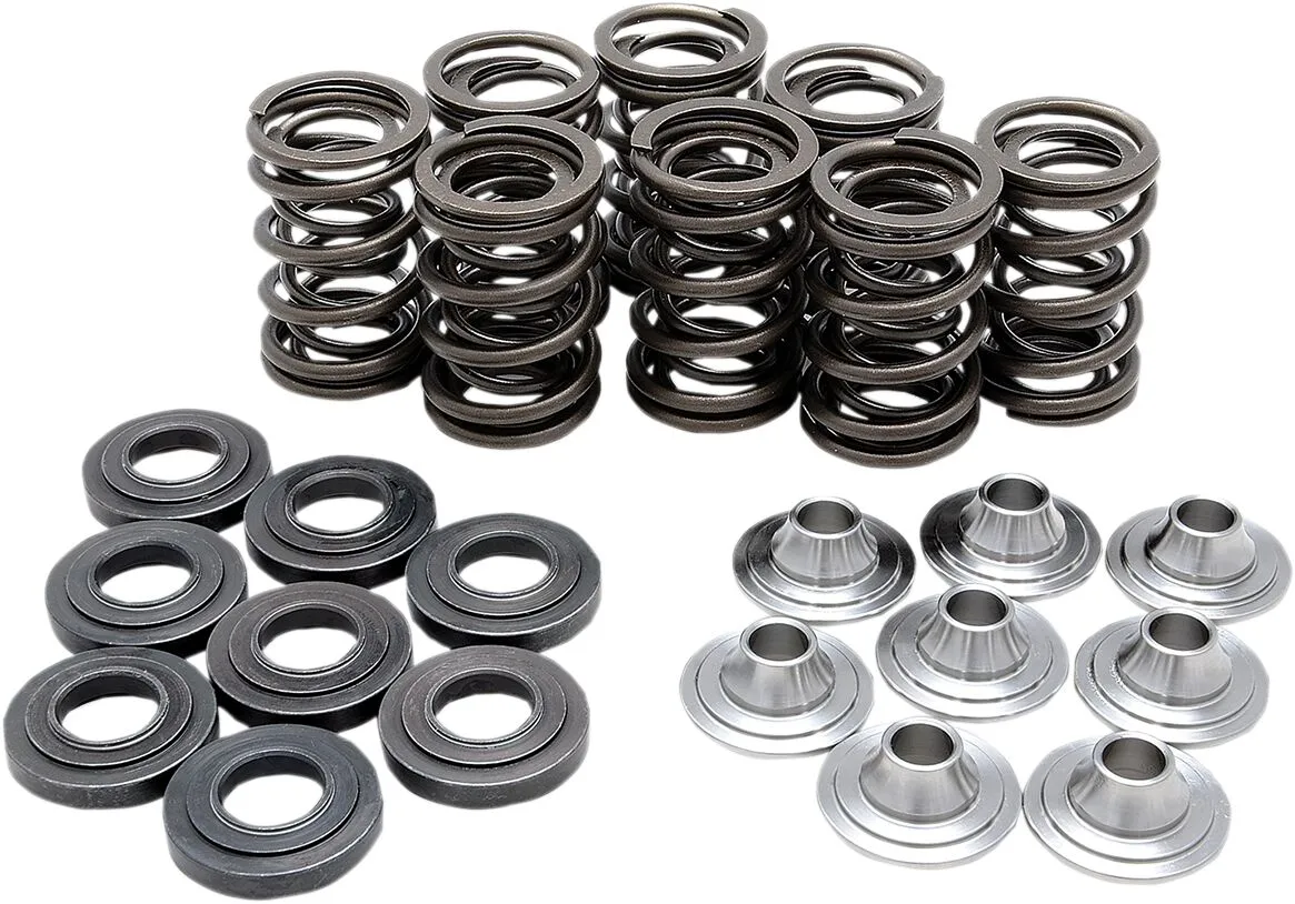 Valve Spring Kit