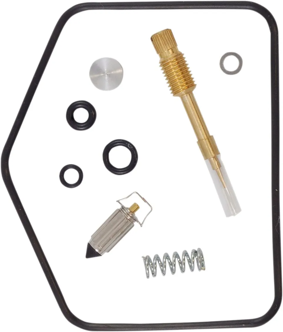 Carburetor Repair Kit