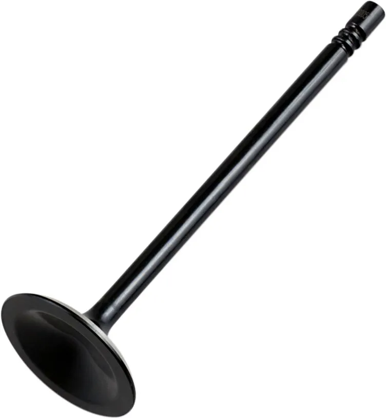 Replacement Valve