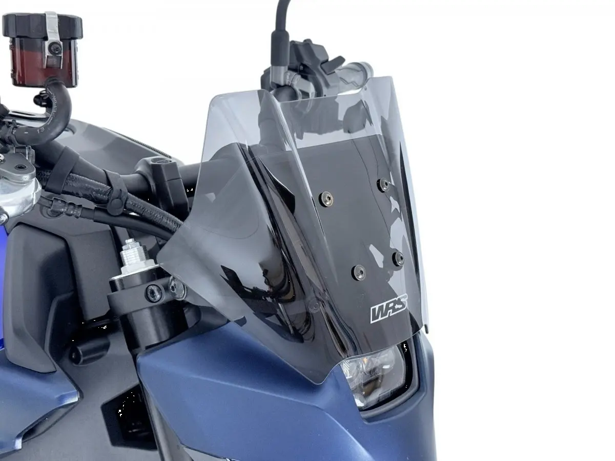 Слюда Спорт MT-09