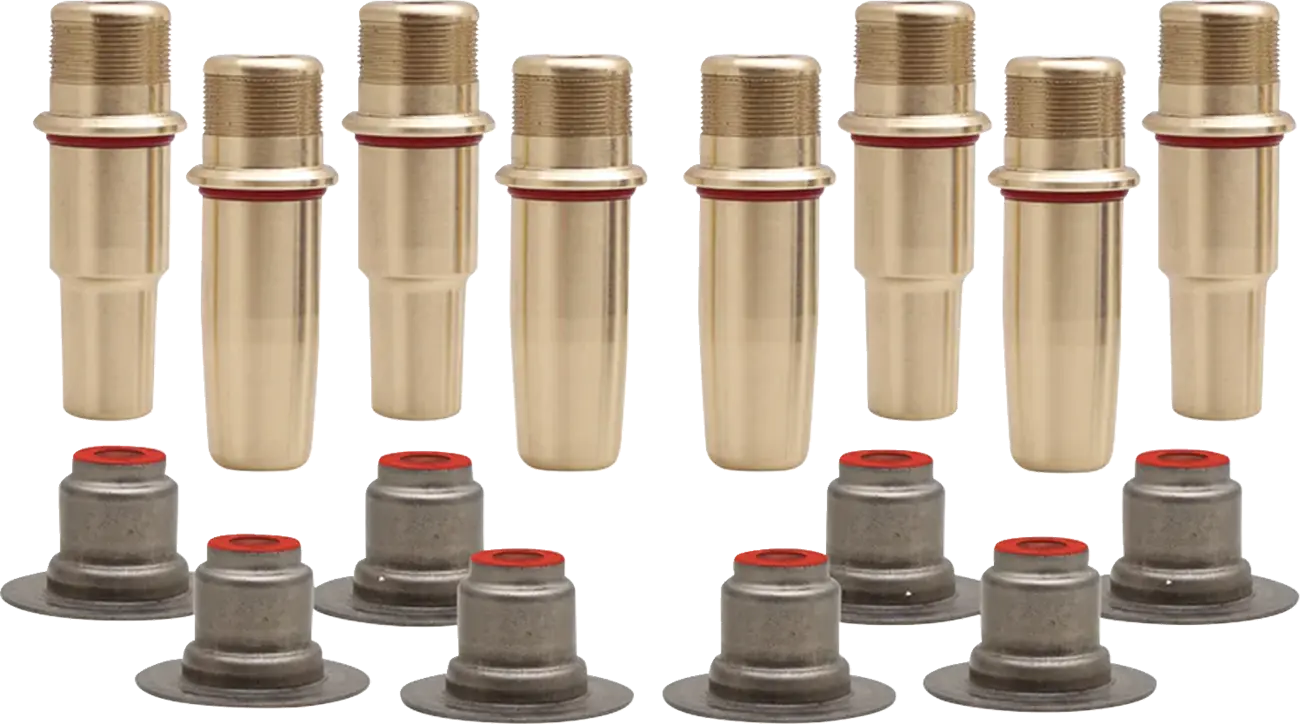 Valve Guide Kit