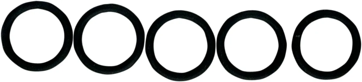 Replacement O-Ring for Fuel Check Valve
