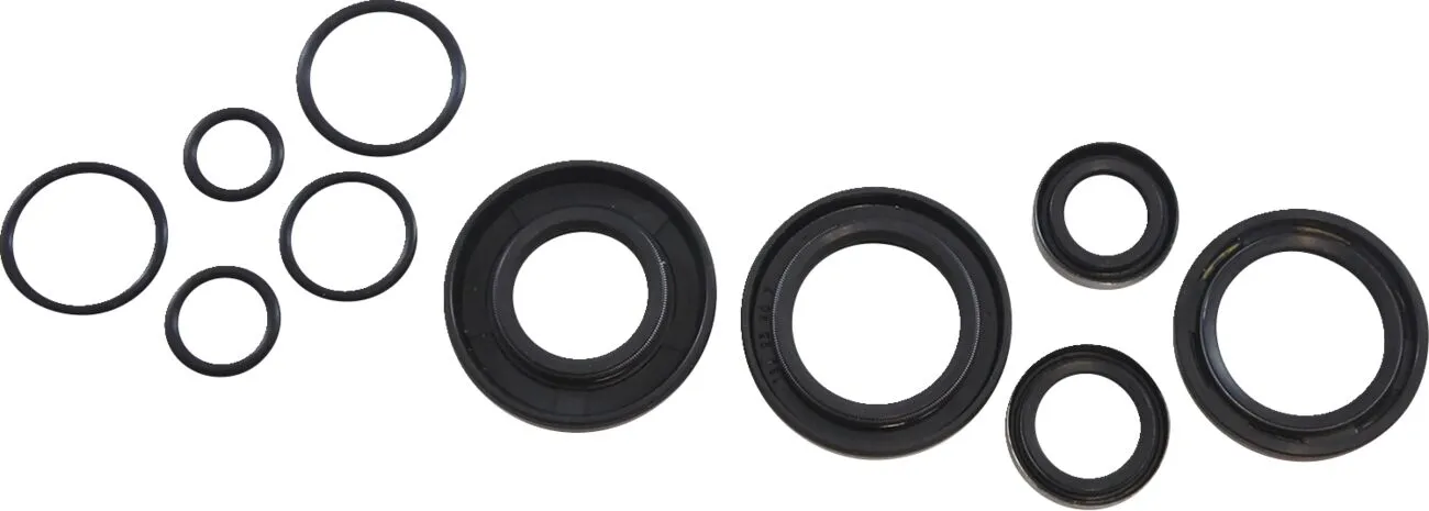 Oil Seal Kit