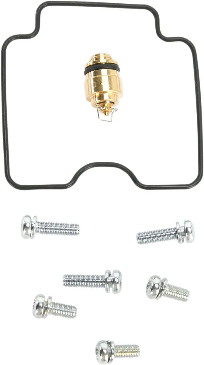 Carburetor Repair Kit