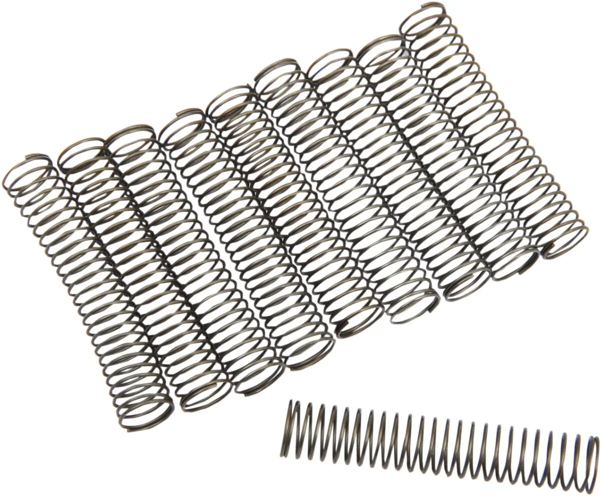 Oil Pump Check Valve Springs